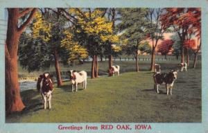 Red Oak Iowa Cow Pasture Greeting Antique Postcard K107224