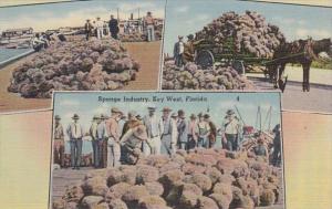 Florida Key West Sponge Industry Multi View