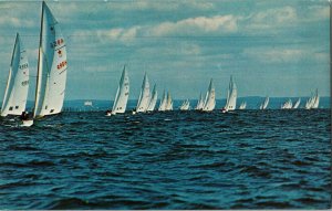 Star Boats Long Island Ocean Clifford Scofield Color Production Vintage Postcard 