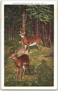 Vintage Northern Woods Natives Antigo Wisconsin Deer Postcard 3