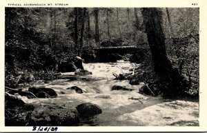 New York Adirondacks Typical Mountain Stream