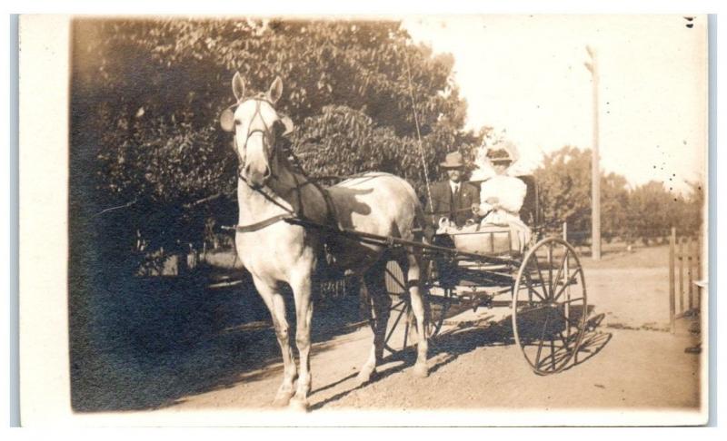 RPPC Couple in Horse-Drawn Buggy Real Photo Postcard c. 1907-1914 