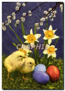 Postcard Old Chicks Flowers