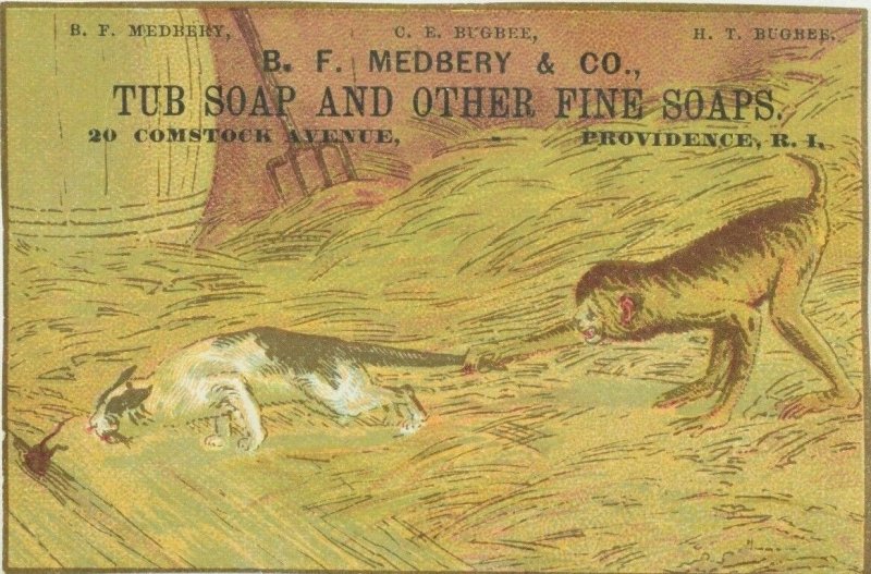 1880's B. F. Medbery & Co. Tub & Fine Soaps Monkey Cat Victorian Trade Card P32 