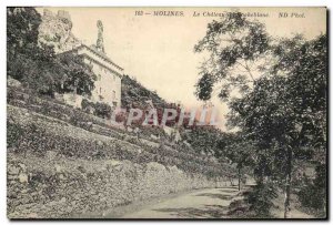 Old Postcard Chateau de Rocheblanc Molines