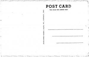 Hopkinsville, Kentucky ROCK HILL TOURIST COURT Roadside Gas Pumps 1940s Postcard