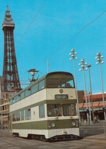 Starr Gate 1979 Blackpool Tram Bus Postcard