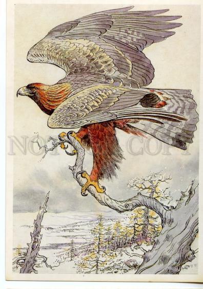 152978 Red List USSR Golden Eagle HUNT Old Russian PC