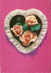 Beautiful roses in a heart Modern Spanish postcard