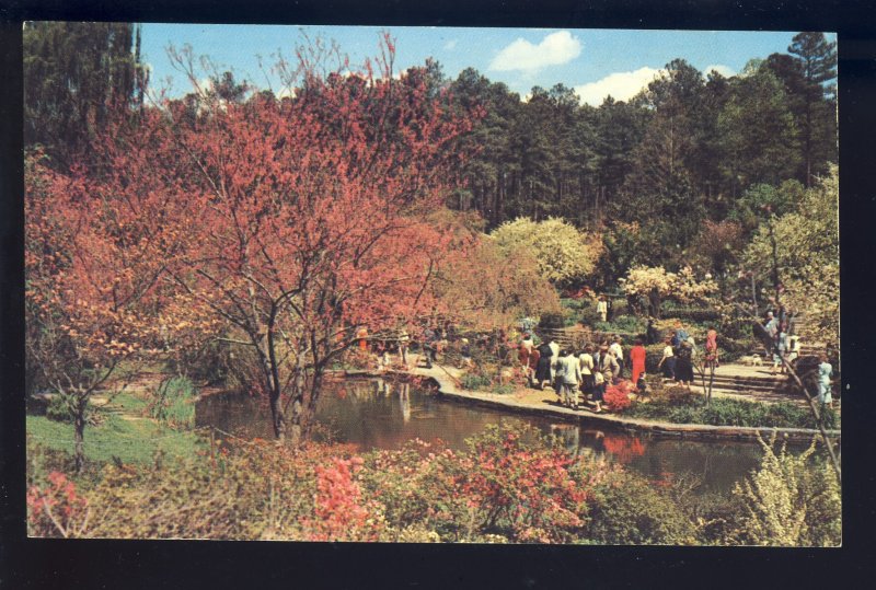 Durham, North Carolina/NC Postcard, Scene In Duke Gardens, Duke University