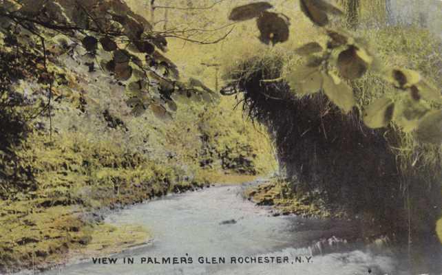 View in Palmer's Glen - Rochester NY, New York - DB