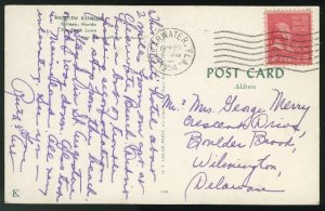 Belleview Biltmore Hotel Belleair Florida FL Guests on Lawn Vintage Postcard