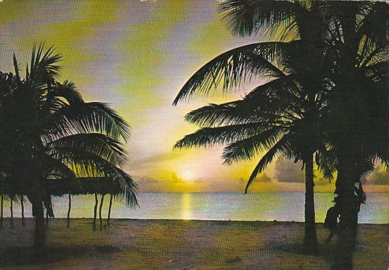 Venezuela Mar Caribe Sunset Beach Scene