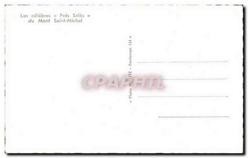 Mont Saint Michel Old Postcard Les pres dirty (sheep)