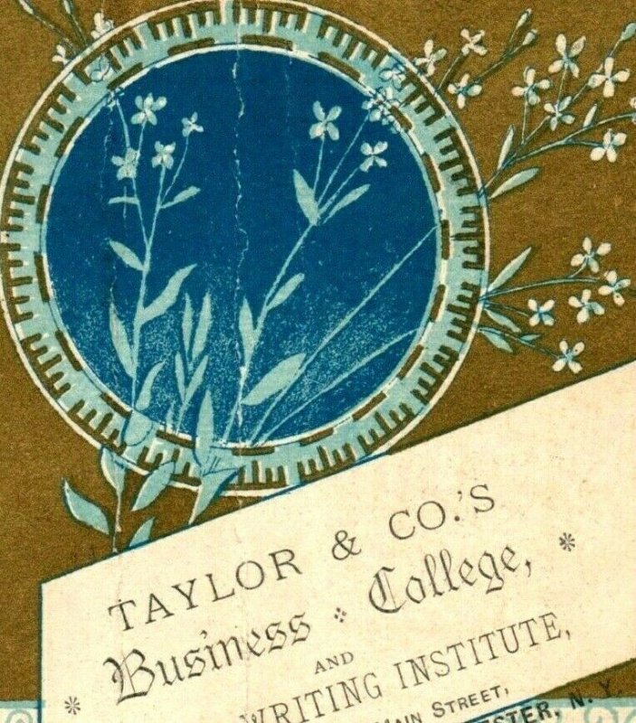 1880s Taylor & Co's Business College Rochester, NY P52