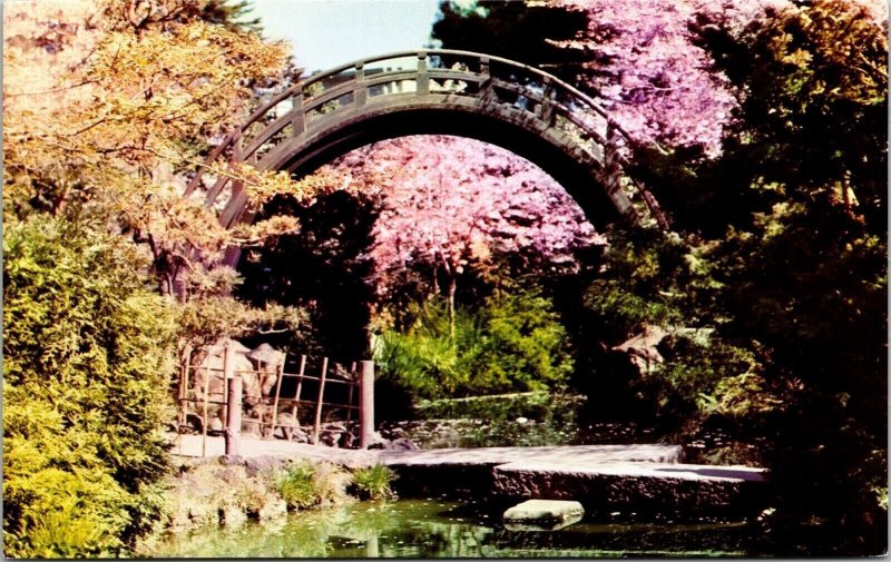 Japanese Tea Garden San Francisco California CA Moon Bridge Postcard UNP VTG 