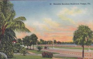 Florida Tampa Beautiful Bayshore Boulevard