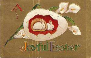 \Rabbit in egg\ Nice American Easter greetings PC