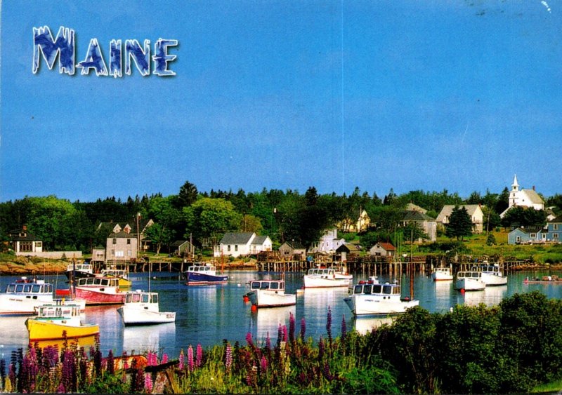 Maine Beautiful Harbor Scene With Fishing Boats