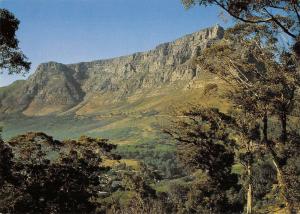 BR102059 the famous table mountain signal hill south africa