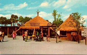 Florida Tampa Busch Gardens The Contact Area In The Boma