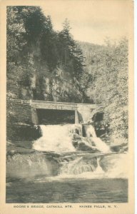 Catskill Mtns New York Haines Falls, Moore's Bridge B&W WB Postcard Unused