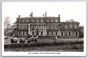 Sheep at Ince Blundell Hall Convalescent Home Liverpool RPPC Postcard M33
