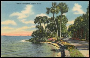 Florida's Beautiful Indian River, Fla