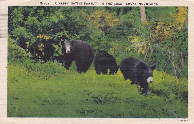 Happy Bear Family in the Great Smoky Mountains - pm 1946 - Linen