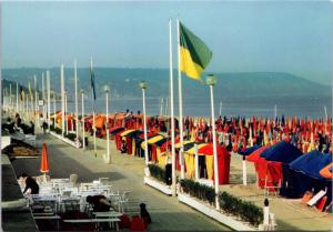 Cote Fleurie Deauville Calvados France Unused Vintage Postcard D46