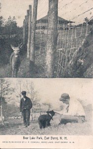 East Derry NH, Bear Lake Park, 1912 Baby Animals, Roadside Attraction, Deer