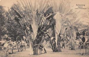 Buitenzorg Indonesia Gezicht Lands Plantentuin Antique Postcard J67000