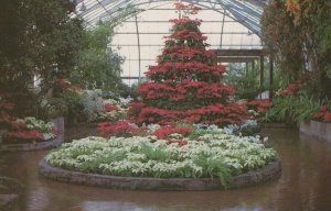 America Postcard - Krohn Conservatory, Cincinnati, Ohio   RS22120