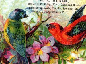 1880s E.A. Beach Clother J.B. Clarke Novelty Card Lot Of 4 Fab! P124