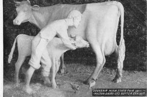 Saint Paul Minnesota Milton Dairy Co Cow Butter Sculpture Postcard K93154