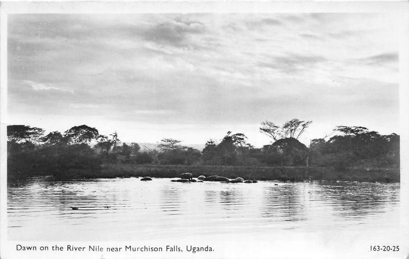 B84734 dawn on the river nile near murchison falls  uganda