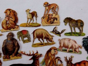 Lot 27 of Embossed Victorian Die-Cut Animals Polar Bear Pig Walrus Monkey CD68