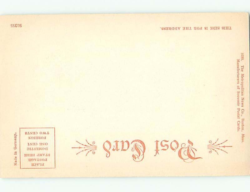 Pre-1907 NATURE SCENE Lynn Massachusetts MA AD8522