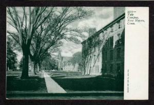 CT Yale University Campus NEW HAVEN CONN Postcard UDB Connecticut