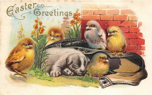 EASTER GREETINGS c1910 Embossed Postcard Chicks & Puppy In An Old Shoe