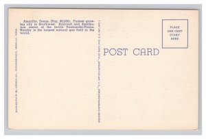 Amarillo Texas Hotel Herring Postcard