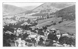 Bird's Eye View Andes, New York Postcard