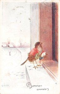New Year Greetings Humanized Bird in Coat Mistletoe Doorstep 1914 postcard B921