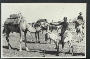 Yemen Postcard - Aden - Scene at Sheikh Othman   RS15741