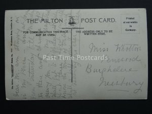 Berkshire NEWBURY North Brook Street c1906 Old Postcard by The Milton Series 