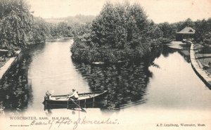 Vintage Postcard Elm Park Boating on Lake Recreation Worcester Massachusetts MA