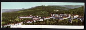 Vintage MARIENBAD Austria Fold-Out POSTCARD Panoramic Postkarte Carte Postale PC