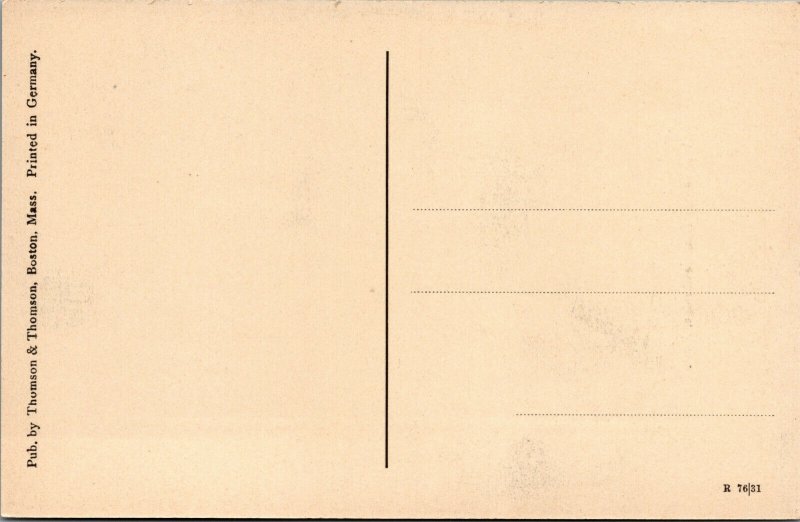 Vtg 1910s Washington Elm Cambridge Massachusetts MA Unused Postcard