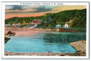 c1930's At The Salmon Hatchery Tadoussac Quebec Canada Vintage Unposted Postcard 