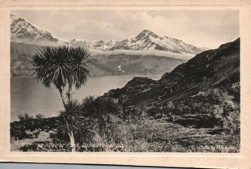 Lake Wakatipu New Zealand Walter Peak Vintage Postcard